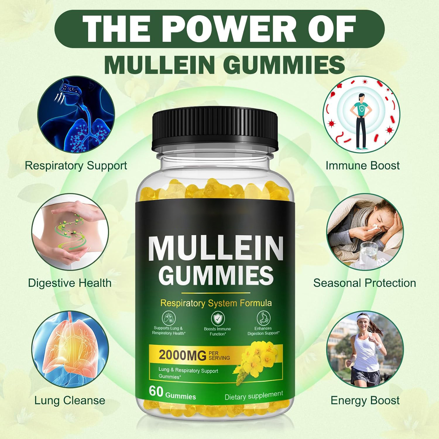 Mullien Gummies